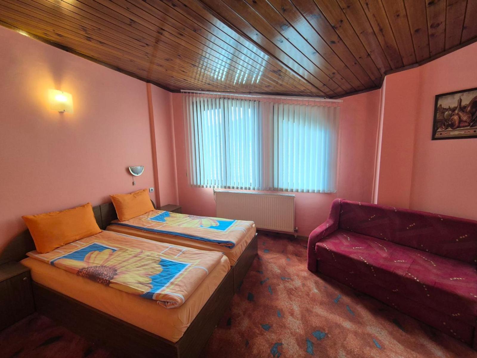 Aseva House Guest House Banszko Kültér fotó