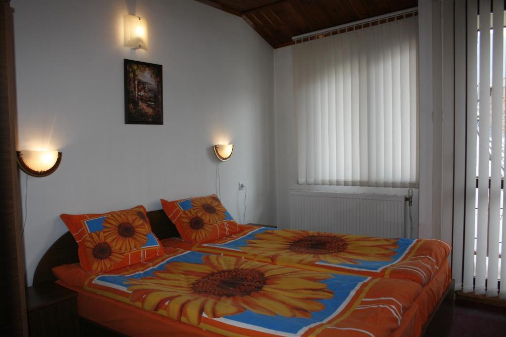 Aseva House Guest House Banszko Kültér fotó